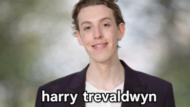 harry trevaldwyn