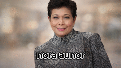 nora aunor net worth